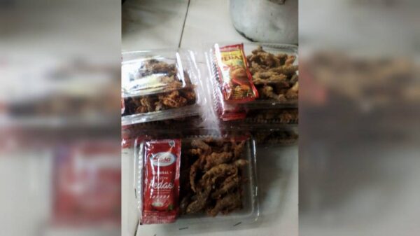 Wader Krispy - Peniwen Malang, eMBe UMKM, GKJW